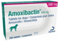 500 mg tablets for dogs