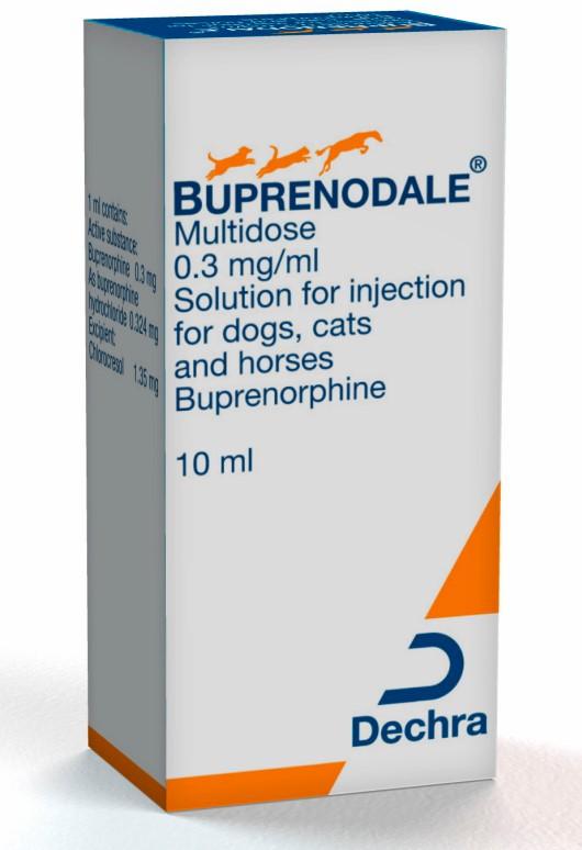 Buprenodale Multidose 0.3 mg/ml solution for injection for dogs, cats and horses