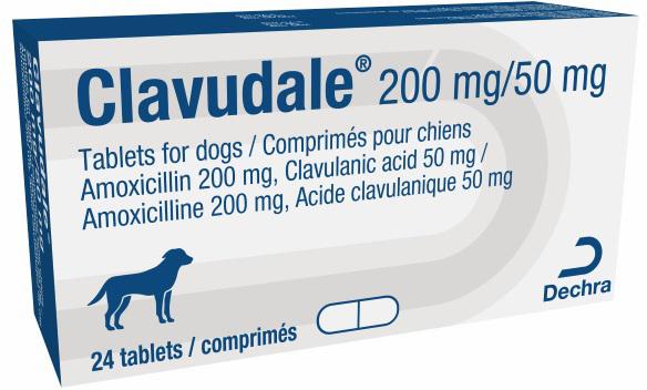 250 mg tablets for dogs