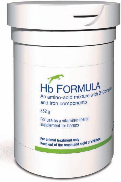 nutritional supplement for horses