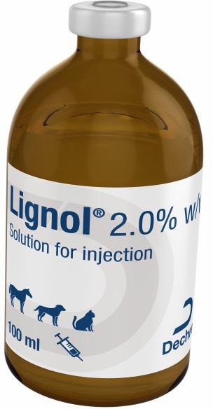 2.0% w/v solution for injection