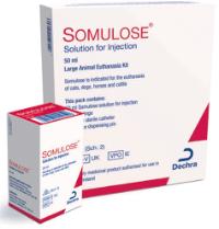 Solution for injection kit