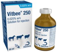 250, 0.025% w/v solution for injection