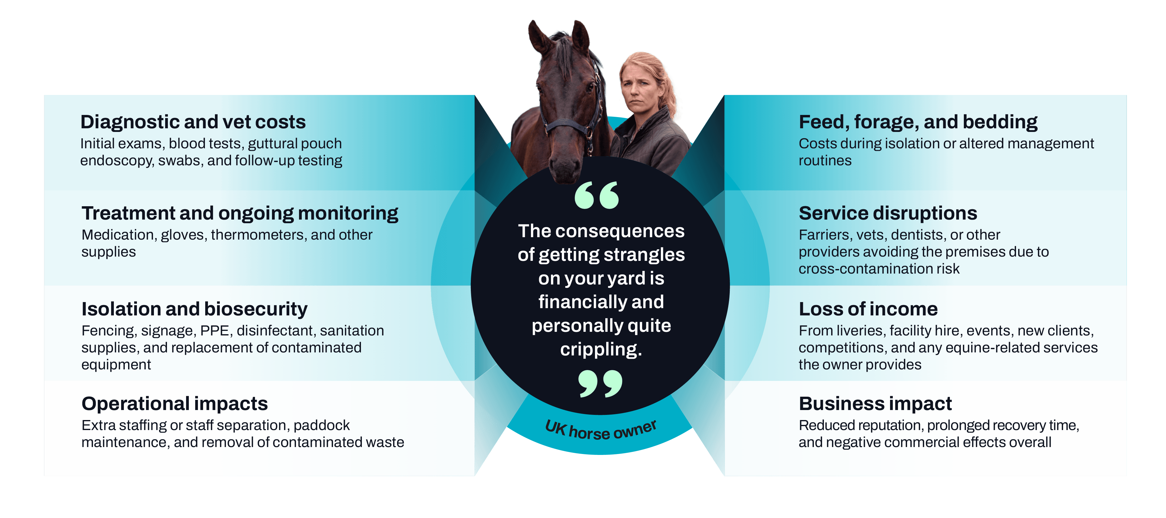 Operational dangers of a strangles outbreak