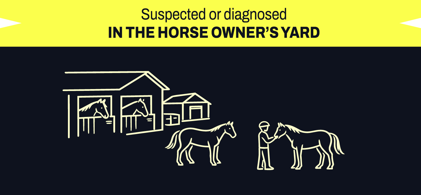 Horse yard yellow vaccination timing graphic