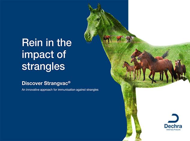 Strangvac Digital Brochure