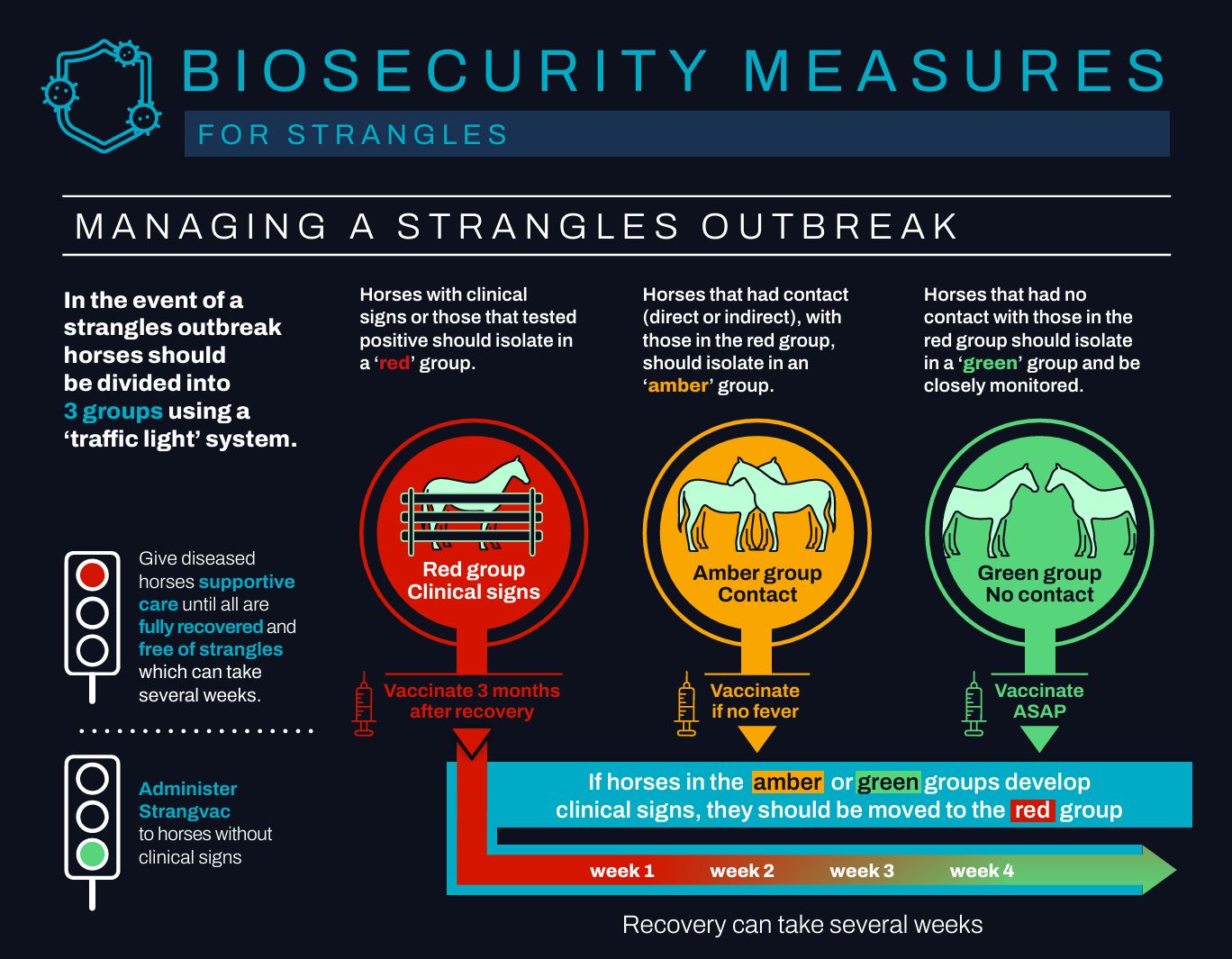 Strangles Biosecurity Infographic