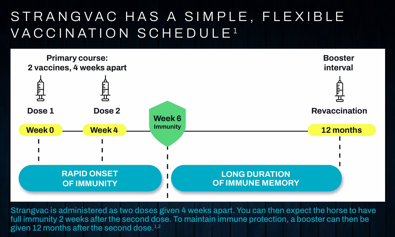 Strangvac Vaccination Schedule